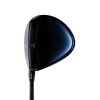 Big Bertha B21 Driver