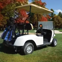 Golf Cart Heater