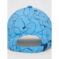 Men's Ludvig Print Adjustable Cap