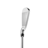 Apex DCB 5-PW AW Iron Set with Steel Shafts