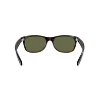 New Wayfarer Sunglasses