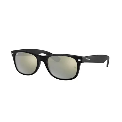 New Wayfarer Matte Sunglasses