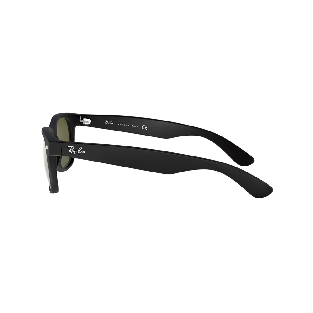 New Wayfarer Matte Sunglasses