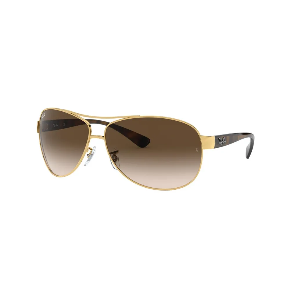 RB3386 Gradient Sunglasses