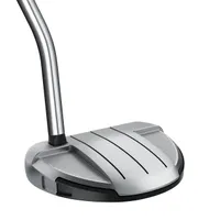 Spider GT Rollback Silver Single Bend Putter