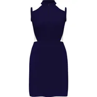 Women's Mesh Colourblock Sleeveless Dress