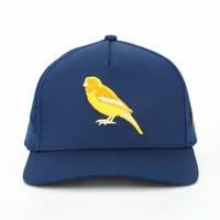 Men's Birdie Snapback Cap