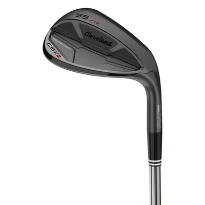 DEMO CBX2 Wedge with Graphite Shafts