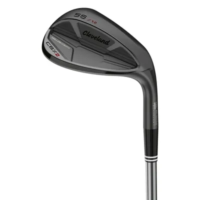 DEMO CBX 2 Black Wedge with Steel Shaft