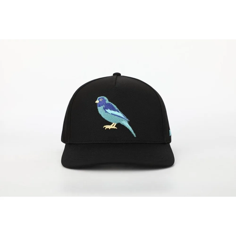 Men's BAANG Birdie Snapback Cap