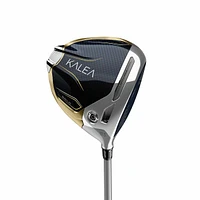 Kalea Gold 10-Piece Blue/White Cart Package Set