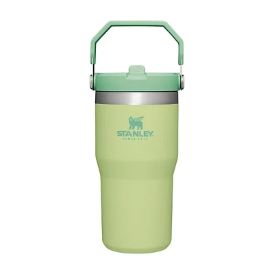 The IceFlow Flip Straw Tumbler - 590 ML