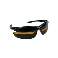 Alignment Glasses and RAP Kit