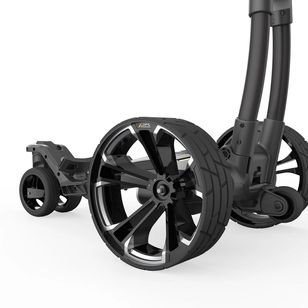 RX12 GPS Remote Electric Cart