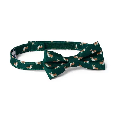 Corgi Bowtie