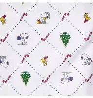 Good Night Adult Pajamas PEANUTS Snoopy Christmas