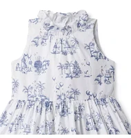 Birthday Toile Dress