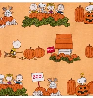 Baby Good Night Footed Pajama Peanuts Halloween