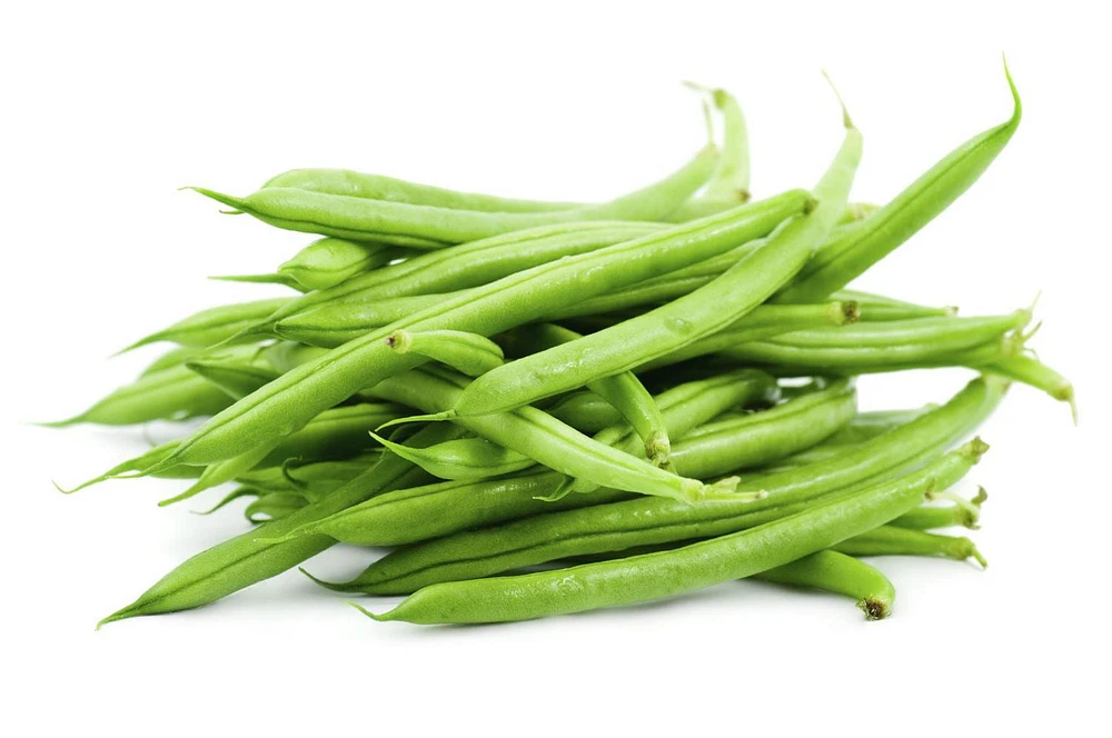 Haricots verts, 24 oz, 0.67 - 0.68 KG