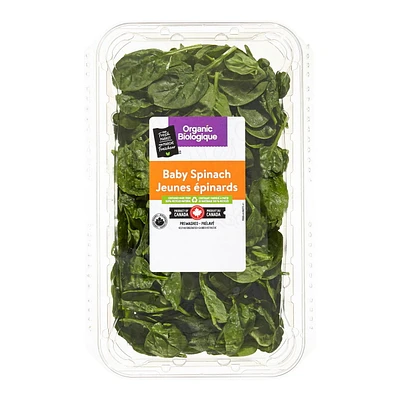 Your Fresh Market Organic Baby Spinach