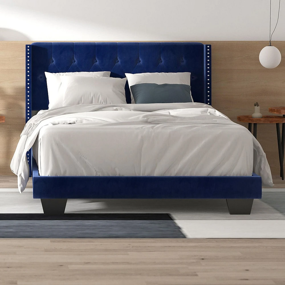 Modern Velvet Upholstered 60" Queen Bed in Blue