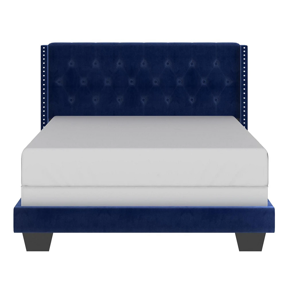 Modern Velvet Upholstered 60" Queen Bed in Blue