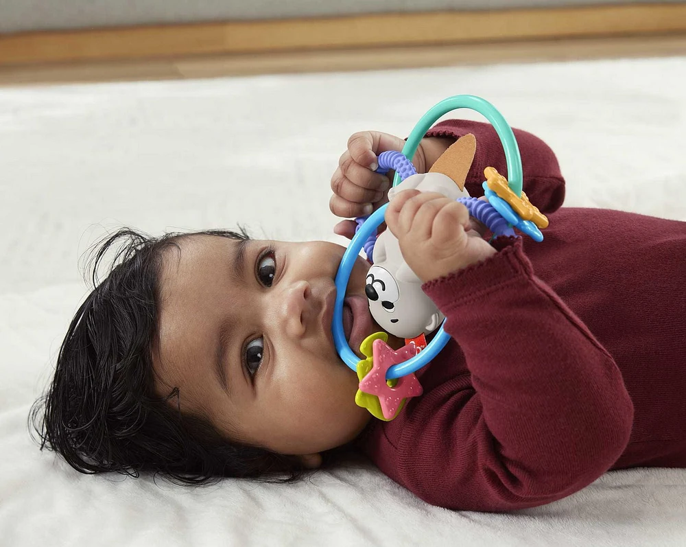 Fisher-Price Baby Rattle and BPA-Free Teething Toy for Newborns, Twist & Teethe Otter