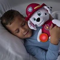 PAW Patrol, Snuggle Up Plush with Flashlight and Sounds (Styles May Vary)