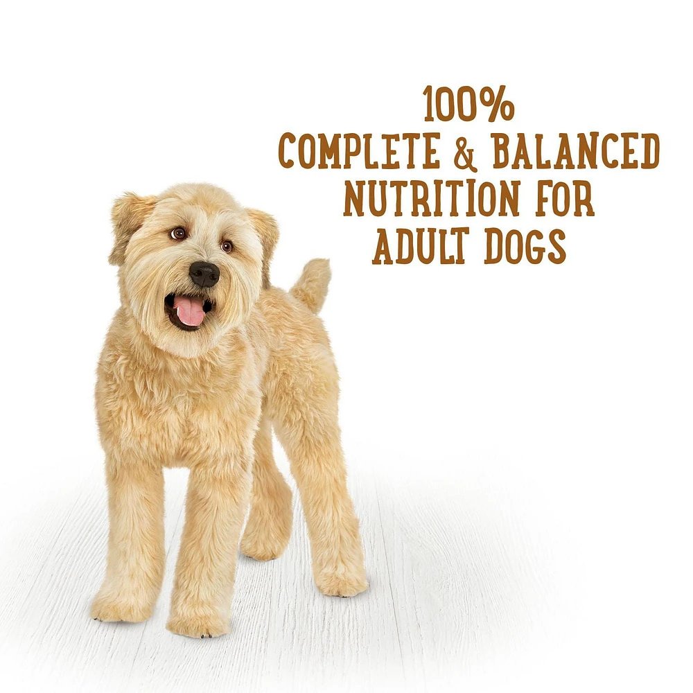 Beneful Prepared Meals Savoury Rice & Lamb Stew, Wet Dog Food 283 g, 283 g