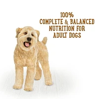 Beneful Prepared Meals Savoury Rice & Lamb Stew, Wet Dog Food 283 g, 283 g