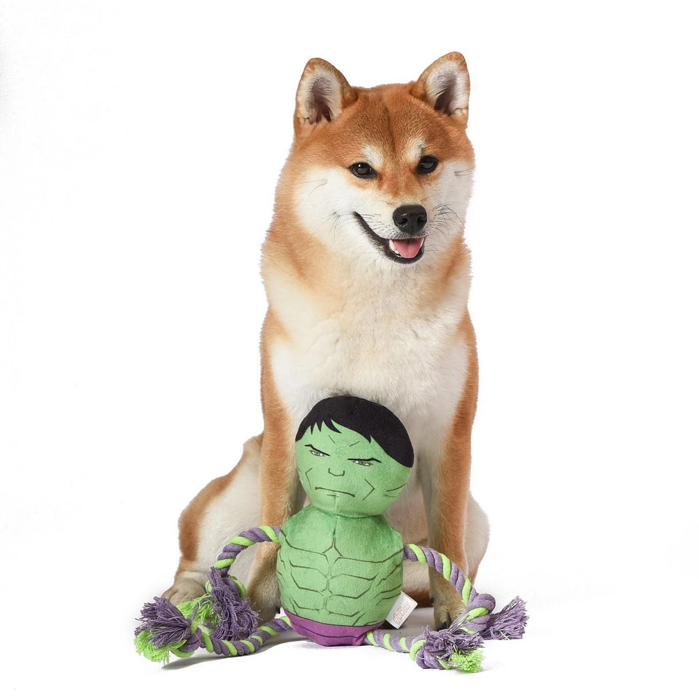 Hulk Plush Dog toy with Rope and Squeaker