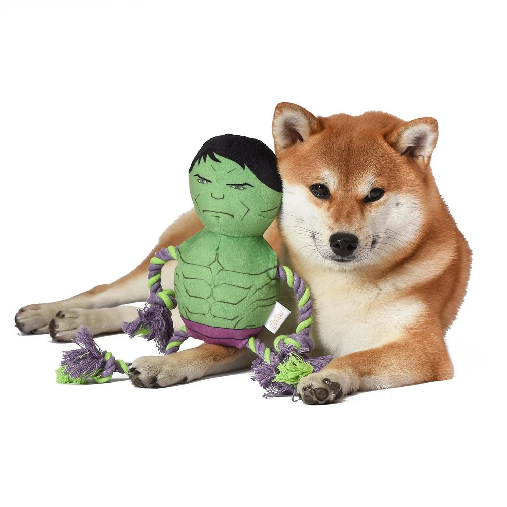 Hulk Plush Dog toy with Rope and Squeaker