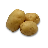 Potato, Yellow, Sold in singles, 0.24 - 0.42 kg