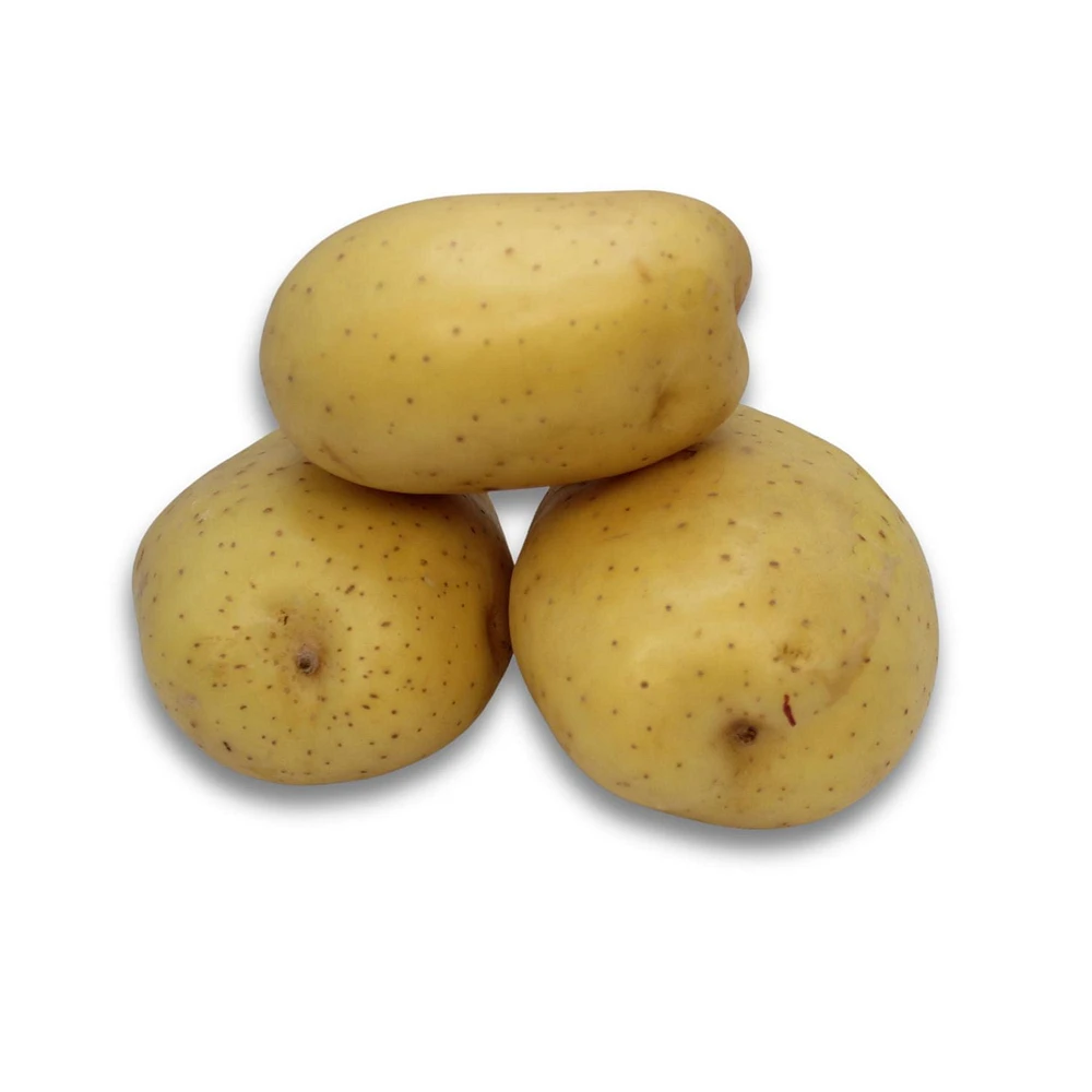 Potato, Yellow, Sold in singles, 0.24 - 0.42 kg