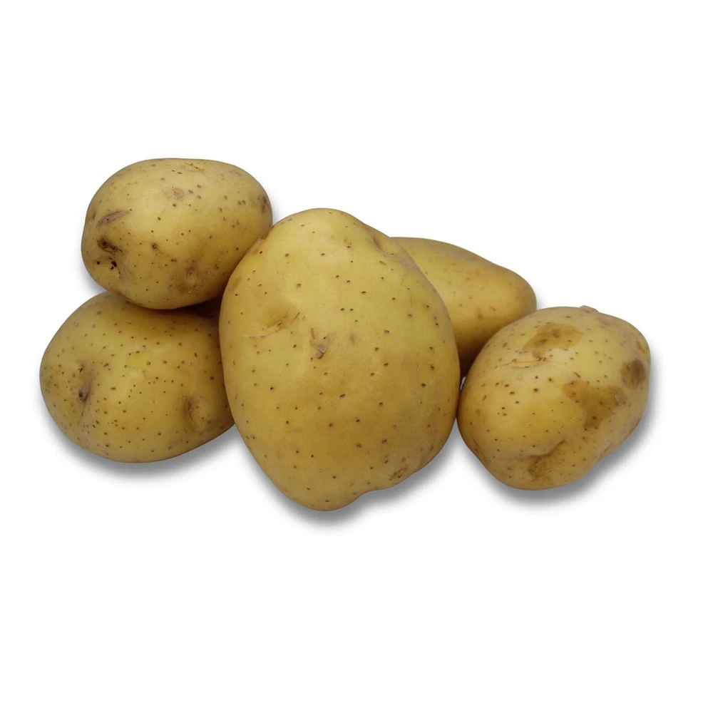 Potato, Yellow, Sold in singles, 0.24 - 0.42 kg