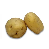 Potato, Yellow, Sold in singles, 0.24 - 0.42 kg