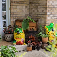 Miracle-Gro Potting Mix - 8.8L, Grows Plants Twice as Big