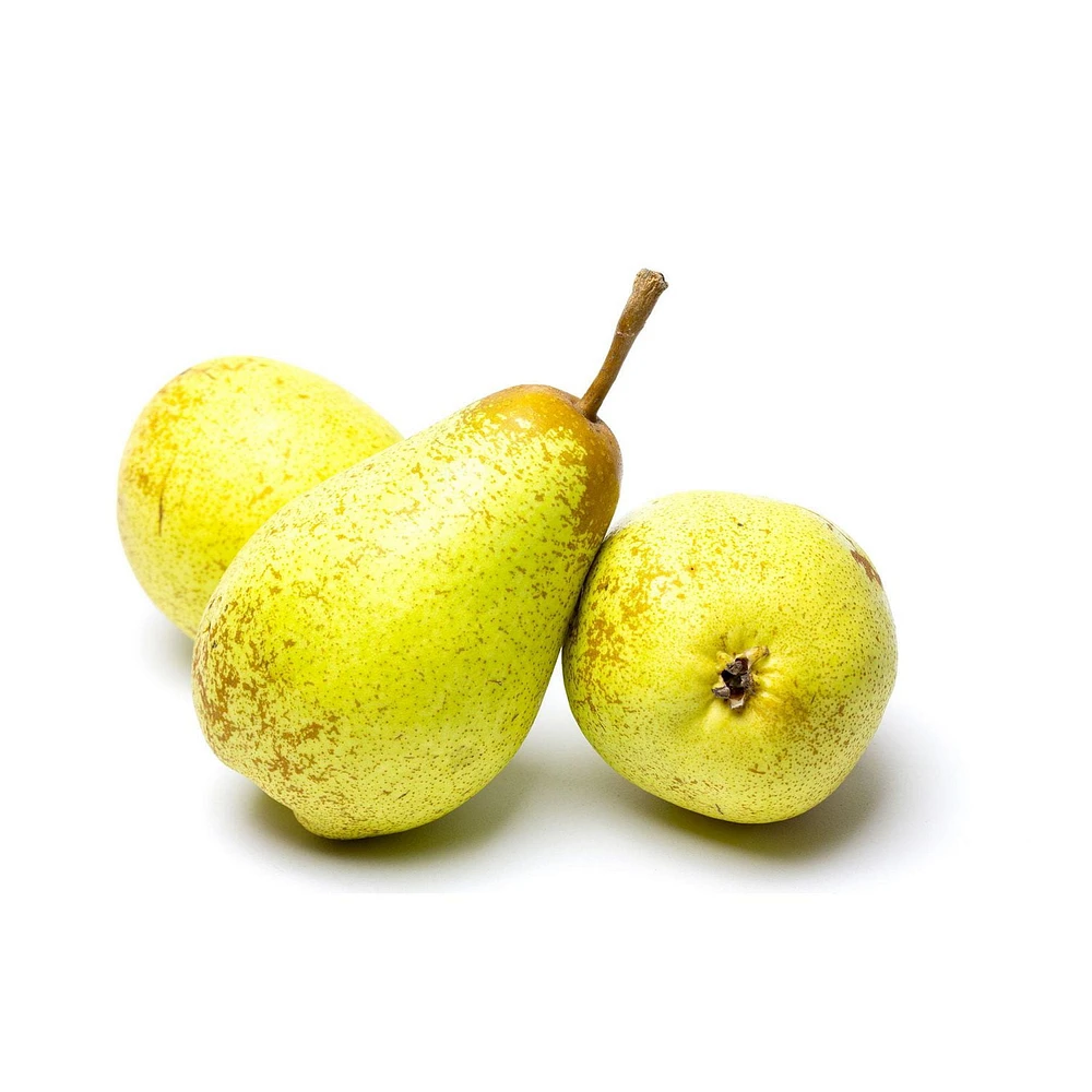 Rocha Pears, Sold in Singles, 0.10 - 0.40 kg