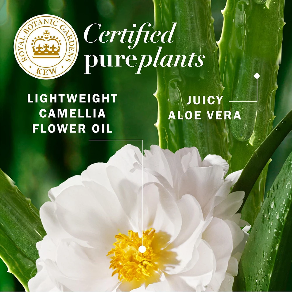 Revitalisant réparateur sans rinçage Herbal Essences, plantes pures certifiées, avec aloès et huile de fleur de camélia 225ML