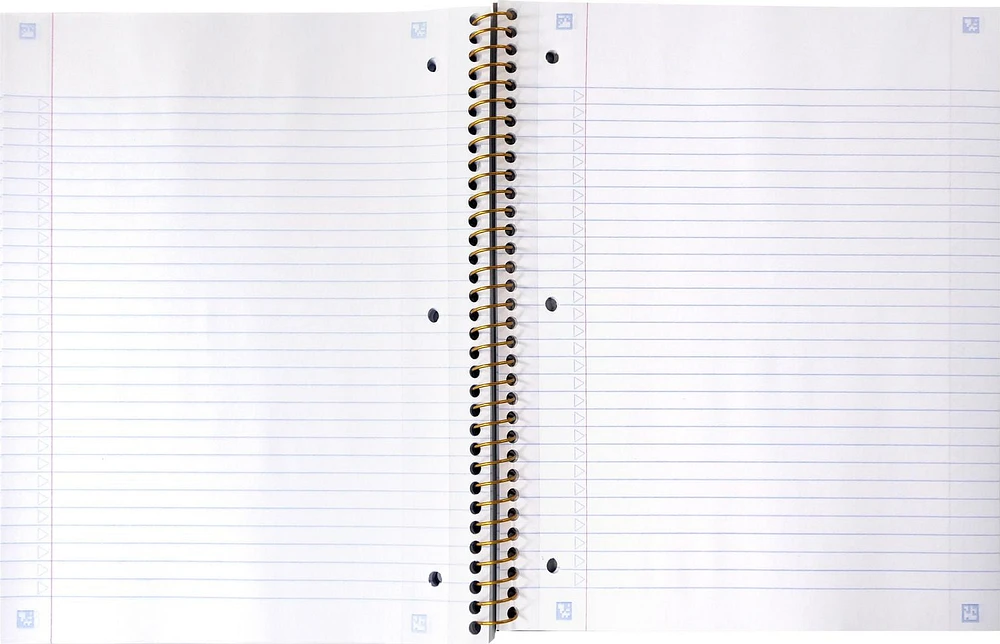 Five Star Style 1 Subject Notebook, Notebook