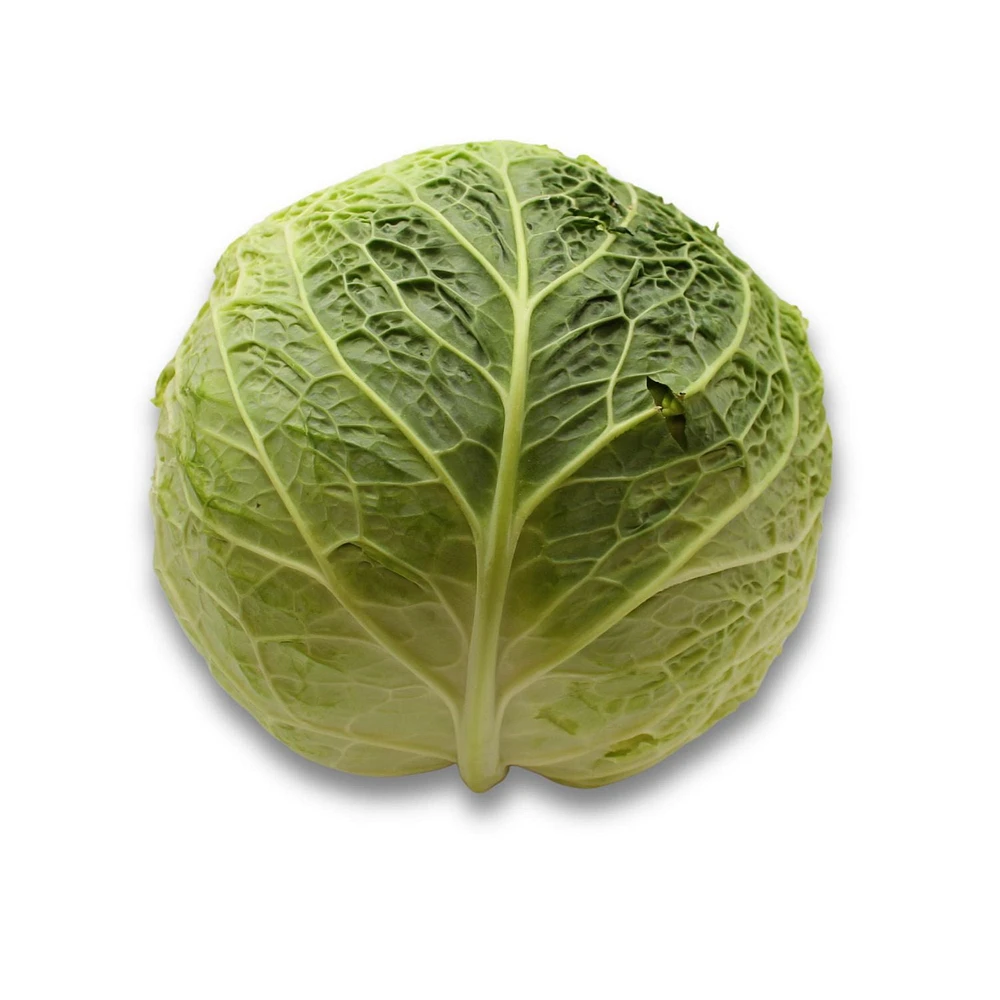 Cabbage, Savoy, Sold in singles, 1.13 - 1.80 KG