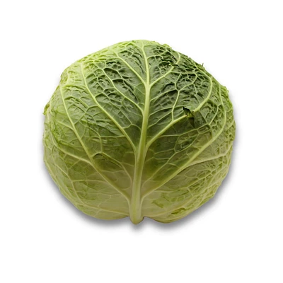 Chou de Savoie, Vendue individuellement, 1.13 - 1.80 KG