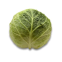Cabbage, Savoy, Sold in singles, 1.13 - 1.80 KG