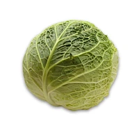 Cabbage, Savoy, Sold in singles, 1.13 - 1.80 KG