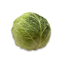 Cabbage, Savoy, Sold in singles, 1.13 - 1.80 KG