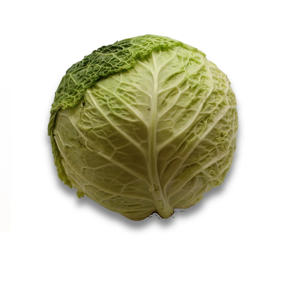 Cabbage, Savoy, Sold in singles, 1.13 - 1.80 KG