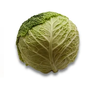 Cabbage, Savoy, Sold in singles, 1.13 - 1.80 KG