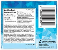 ICE BREAKERS ICE CUBES Peppermint Sugar Free Gum, 40 pieces
