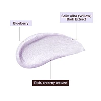 Food Story Mousse Nettoyante Revitalisante Myrtille