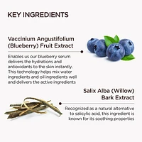 Food Story Mousse Nettoyante Revitalisante Myrtille